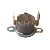 Thermal protection, 170°C thermostat for SPEEDY steam brush