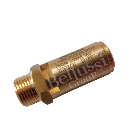 Запобіжний клапан до 5 бар для генератора FB/F і столів FR/F і MP/F