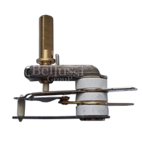 Thermostat for iron Due Effe, Tulipano, Maschio (old type)