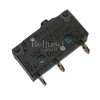 Mikrobryter Dampknapp til Due Effe Speedy Dampbørste