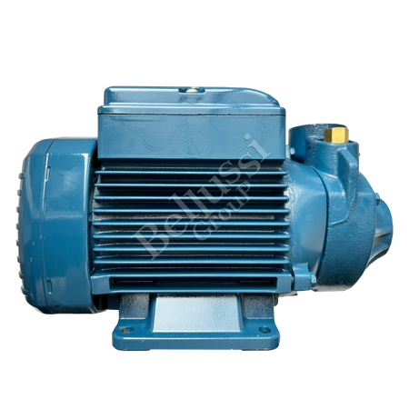 Pompe électrique Pedrollo PKM 65 230V 0,55 kW