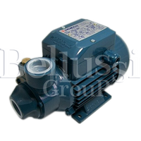 PkM 60 Elektropumpe für Pratik Generator, FB / F und andere