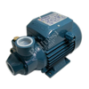 Elektropumpa Pedrollo PKM 65 230V 0,55 kW